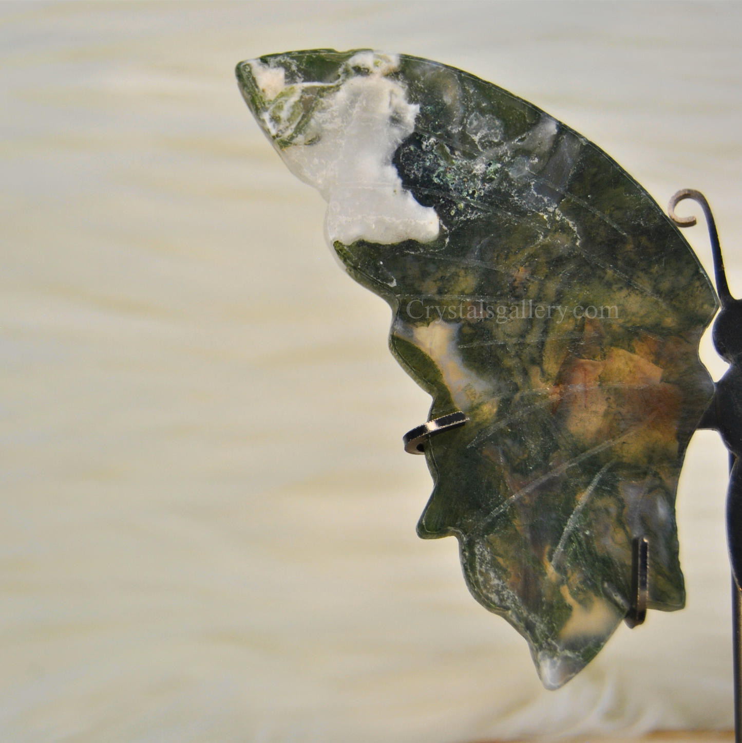 Moss Agate Butterfly Wings Set With Stand Home Decor