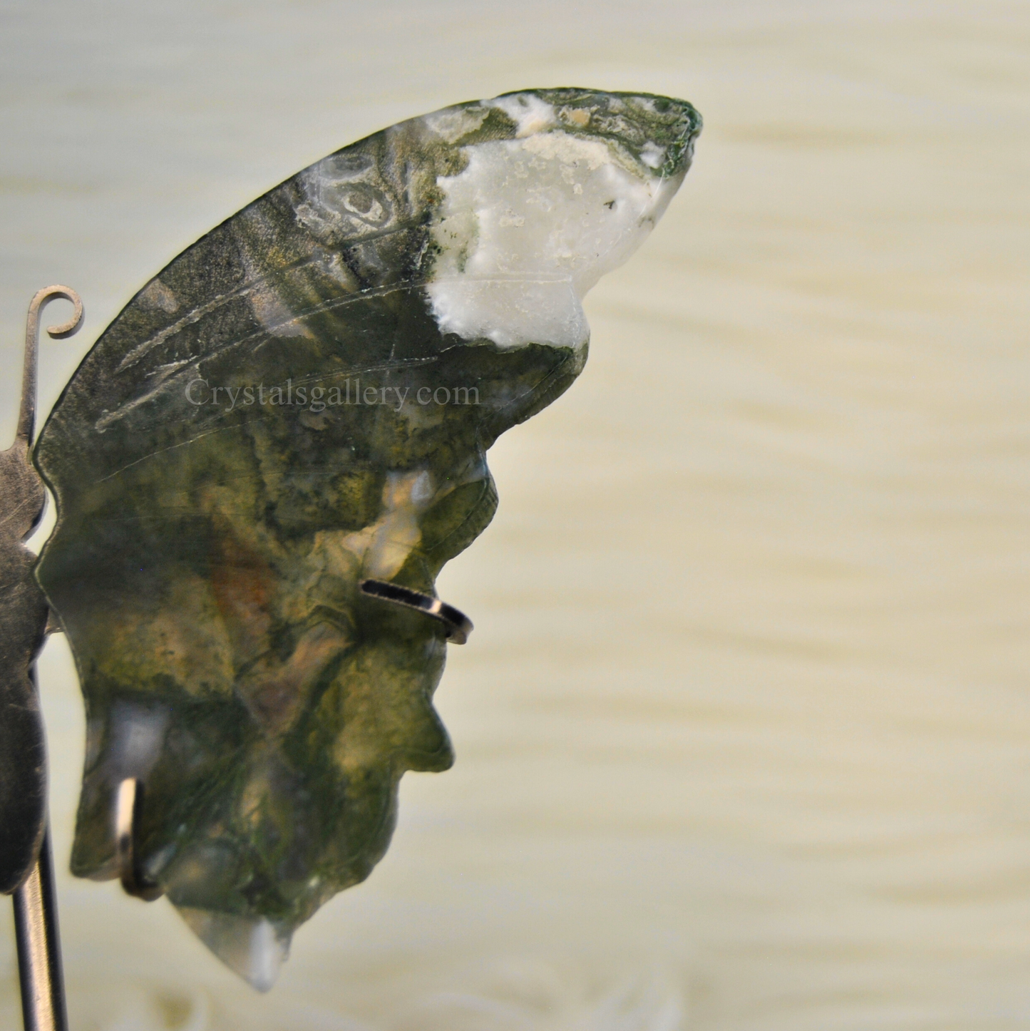 Moss Agate Butterfly Wings Set With Stand Home Decor