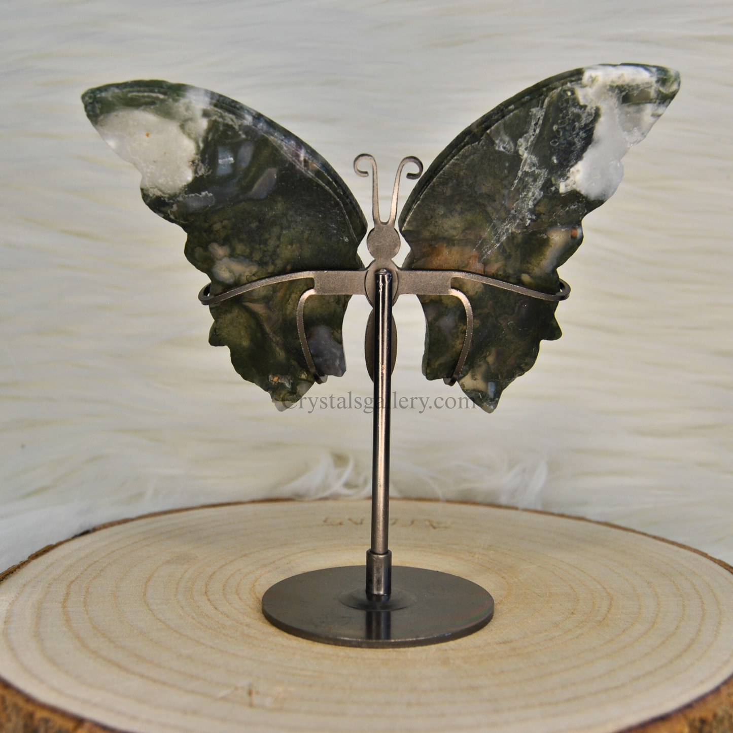 Moss Agate Butterfly Wings Set With Stand Home Decor