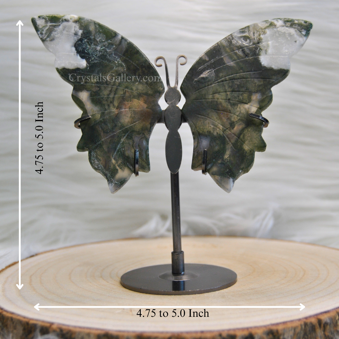 This mages describe dimention of wings with stand. which is 4.75 to 5.0 inch by 4.75 inch to 5.00 . Its very unique piece when it come to decor style weather its for ome,office or any other place .