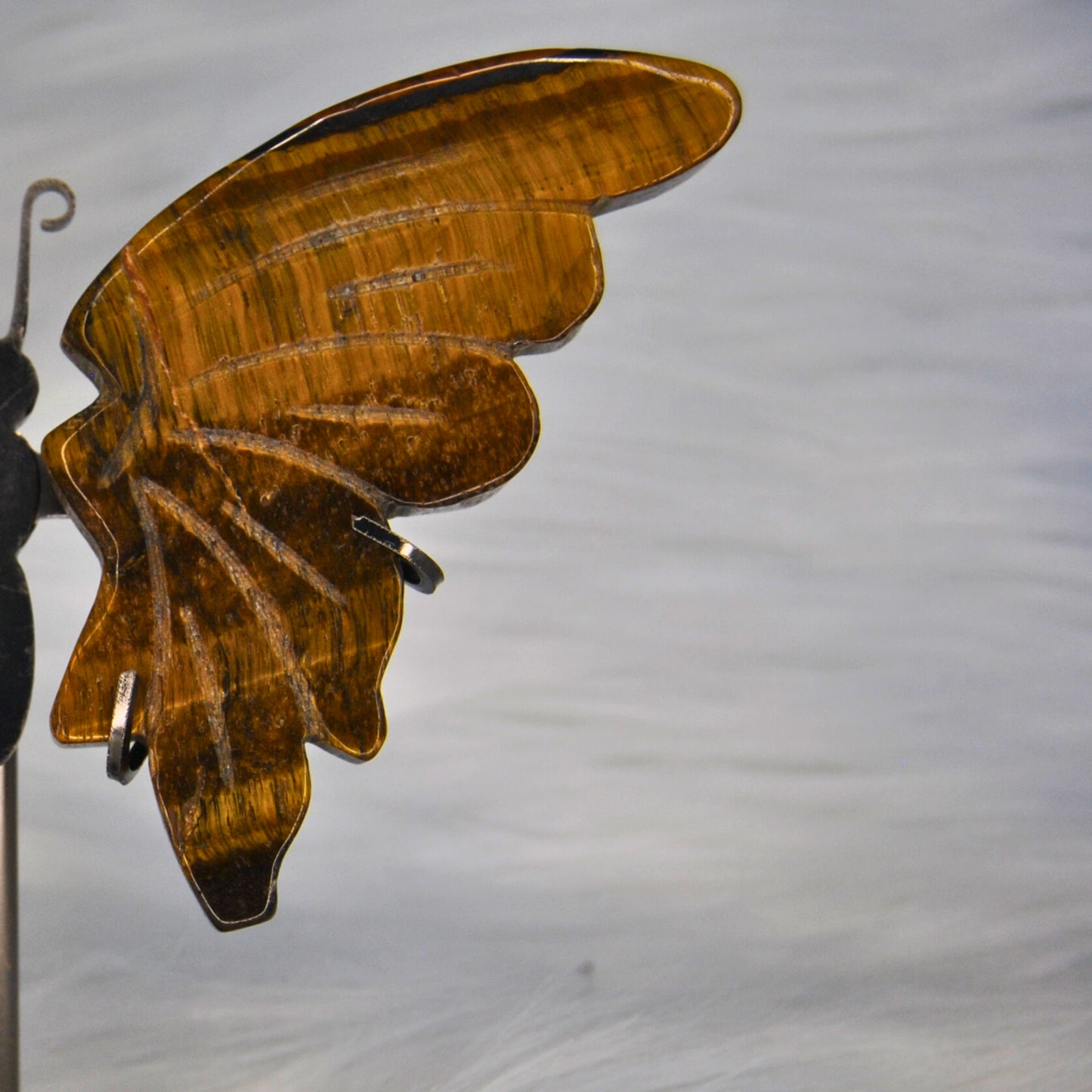 Tiger Eye Butterfly Wings Set With Stand For Home Decor