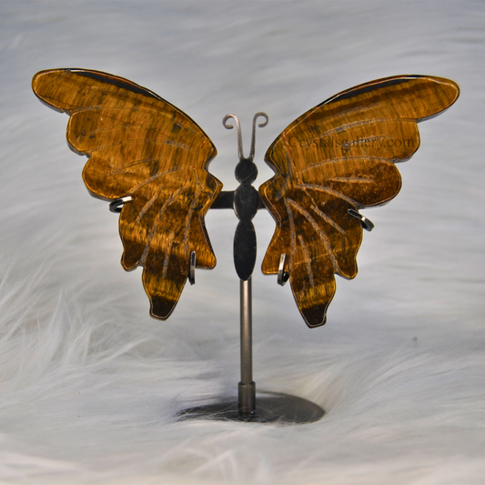 Tiger Eye Butterfly Wings Set With Stand For Home Decor