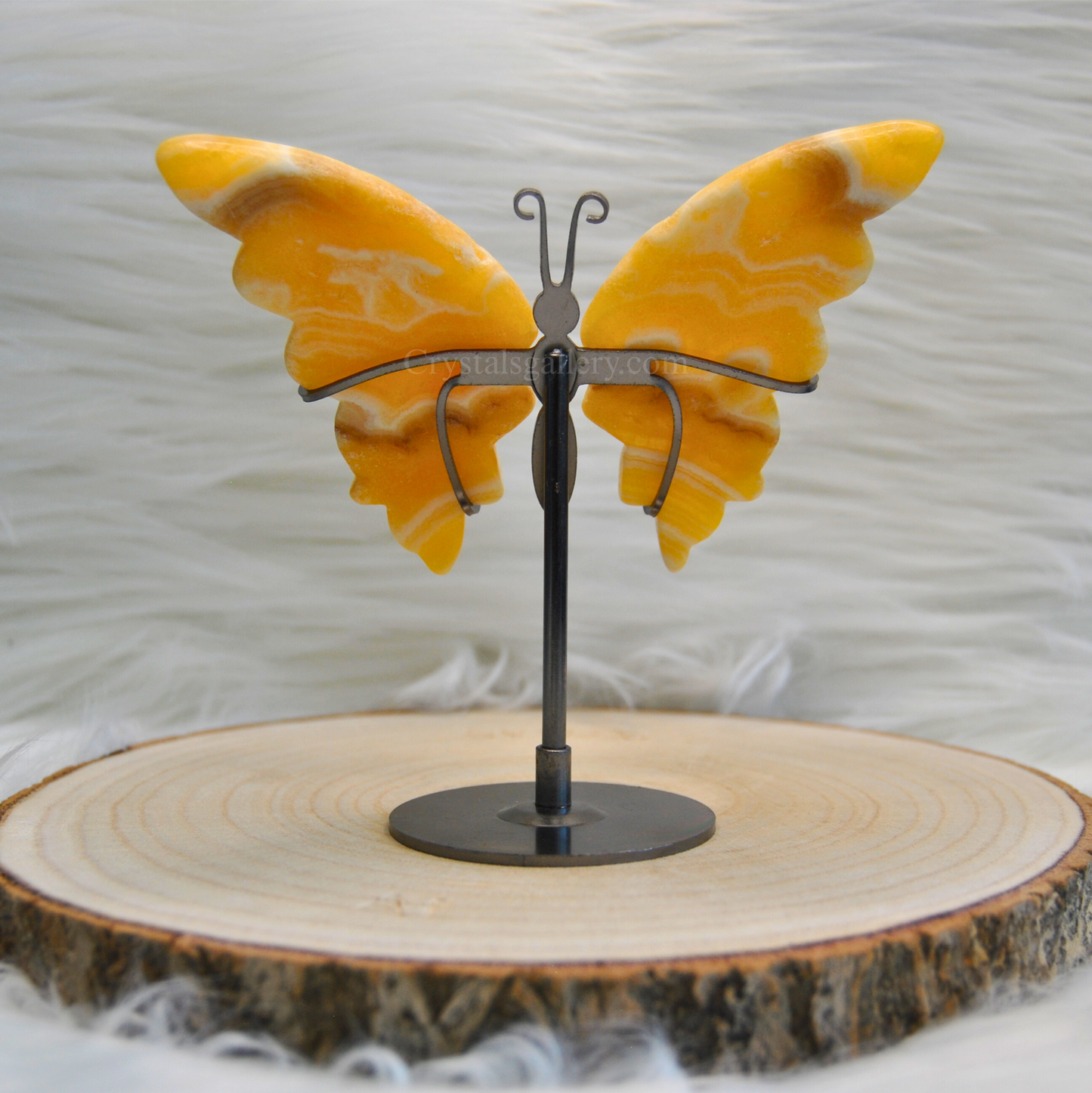 Honey Calcite Butterfly Wings Set with stand Home Decor