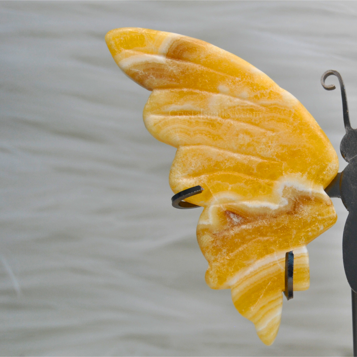 Honey Calcite Butterfly Wings Set with stand Home Decor
