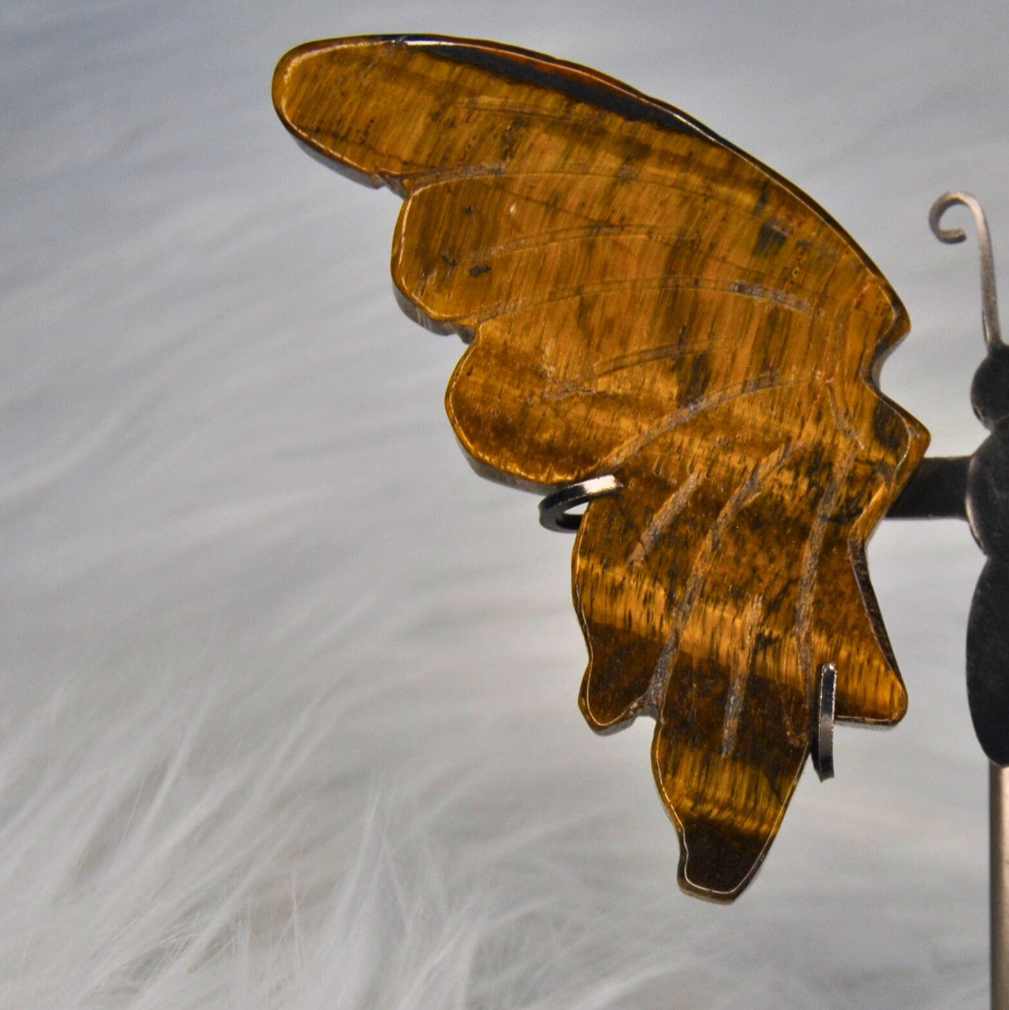 Tiger Eye Butterfly Wings Set With Stand For Home Decor